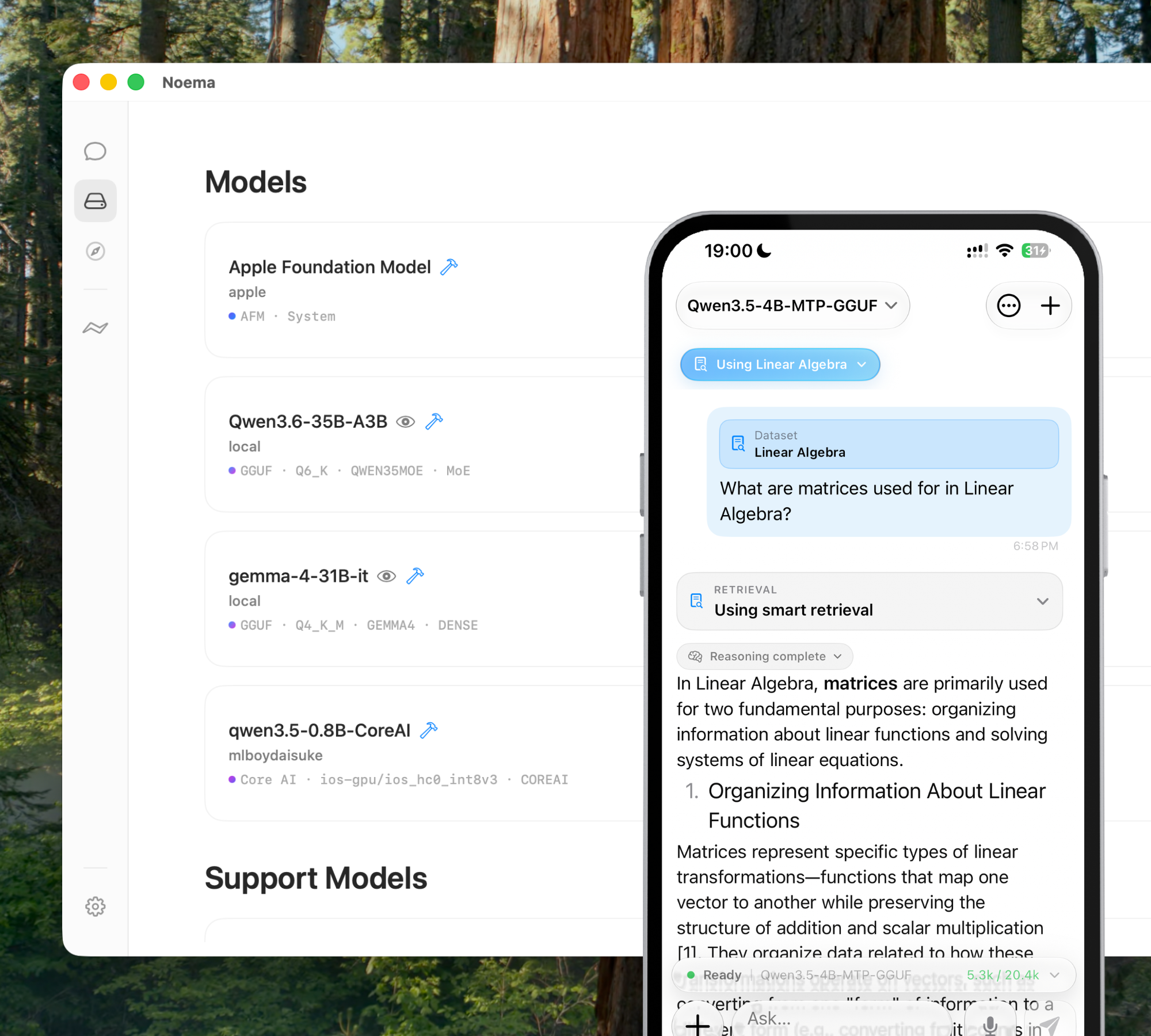 Noema running across Mac and iPhone
